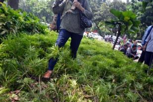 Pemprov DKI Benahi Taman Rusak Akibat Demo di Depan Gedung MK