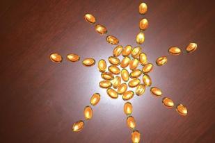 Minum Vitamin D dan Kalsium Malah Berdampak Buruk untuk Mereka yang Sehat