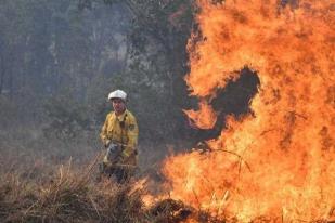 Kebakaran Hutan Australia Diprediksi Berlanjut Beberapa Bulan ke Depan