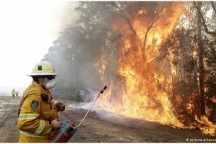 Kebakaran Hutan Jadi Risiko Global Masa Depan