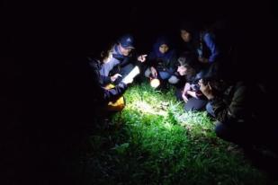 Peneliti Unej dan Virginia Tech Temukan Amphibi-Reptil Hutan