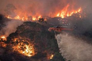 Sebagian Besar Kebakaran Semak Australia Disebabkan Petir