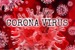 Menkominfo Minta Warganet Tidak Sebarkan Hoaks Virus Corona