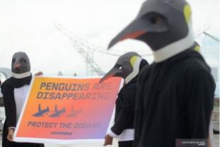 Perubahan Iklim: Jumlah Penguin Tali Dagu Turun Tajam