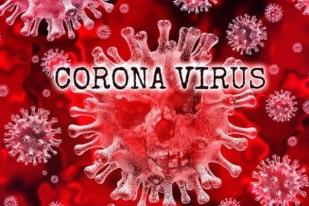 Korban Virus Corona di China Menjadi 3.013 Meninggal