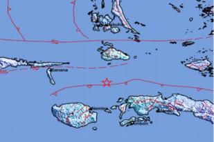 Gempa Bumi Berkekuatan 5,3 Guncang Maluku