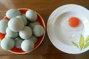 Sembilan Keunggulan Telur Bebek Ketimbang Telur Ayam
