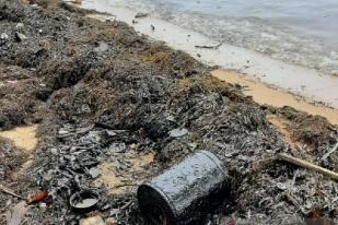 Limbah Minyak Hitam Cemari Pantai Pulau Batam