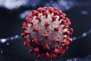 RI Temukan Dua Kasus Mutasi Virus Baru B117-UK