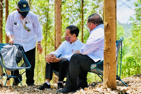 Jokowi Kemah di Lokasi Bakal IKN Nusantara