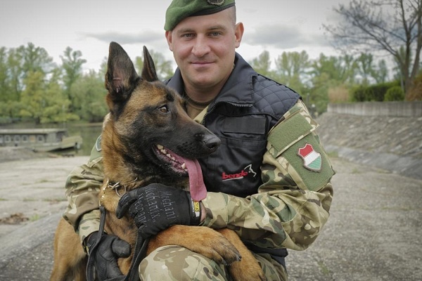 Logan, Anjing Yang Disiksa Menjadi Pelacak Bom Pasukan Hongaria