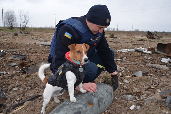 Patron, Anjing Pelacak Bom, Pahlawan Ukraina