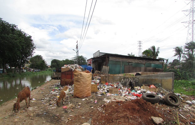 Raut Sampah di Bantaran Sungai Kalimalang 