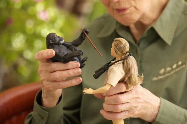 Barbie Ciptakan Boneka Ahli Primata Jane Goodall
