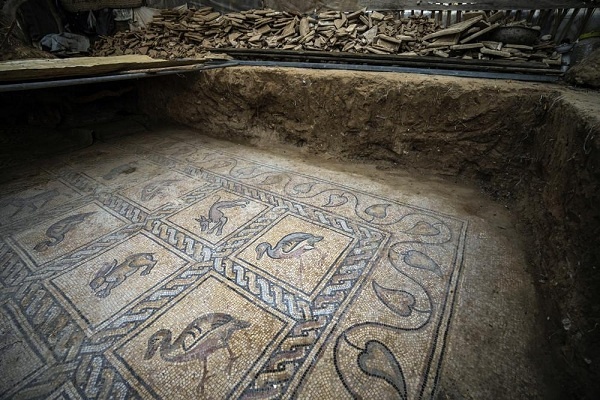 Petani Gaza Temukan Mosaik Peninggalan Era Bizantium