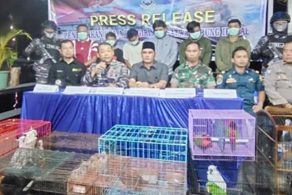 TNI Gagalkan Penyelundupan Puluhan Satwa Asal Papua