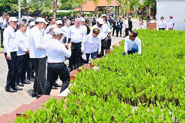Pemimpin G20 Menanam Mangrove di Tahura Bali