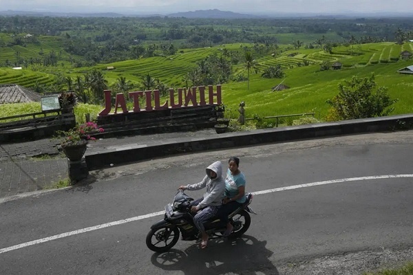 Petani di Bali Menghadapi Krisis Air