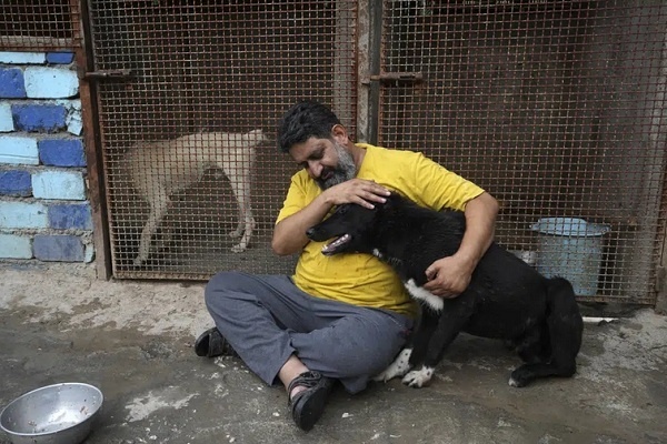 Melawan Tabu, Ulama Syiah Iran Merawat Anjing-anjing Terlantar