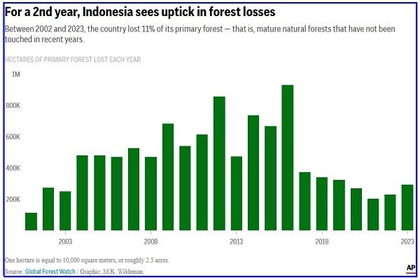 Deforestasi di Indonesia Meningkat Tajam Tahun Lalu, Meskipun Ada Tren Baik