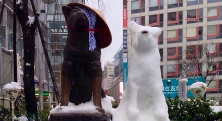 Badai Salju di Jepang, Patung Anjing Hachiko Mendapat Topi dan Teman Baru