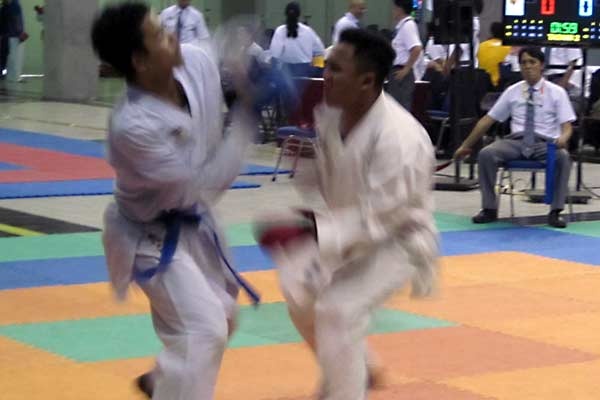 Rektor UI Dorong Karateka Sportif