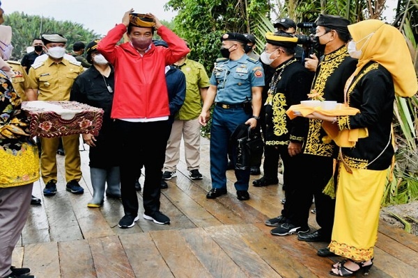 Jokowi dan Sejumlah Dubes Tanam Mangrove di Kaltara