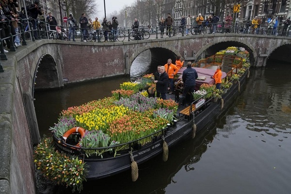 Bunga Tulip Gratis Dibagikan di Amsterdam