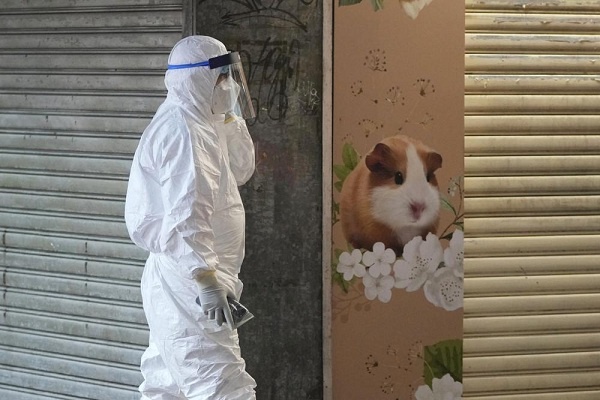 Hong Hong Musnahkan 2.000 Hamster, COVID-19 Ditemukan di Klaster Toko Hewan Peliharaan