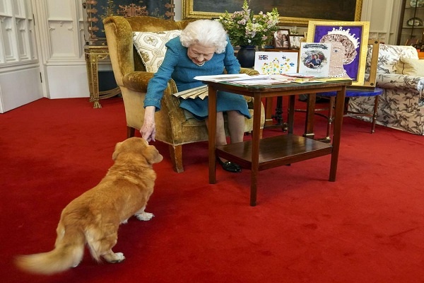 Menjelang 70 Tahun Naik Tahta, Anjingnya Interupsi Acara Ratu Elizabeth II 