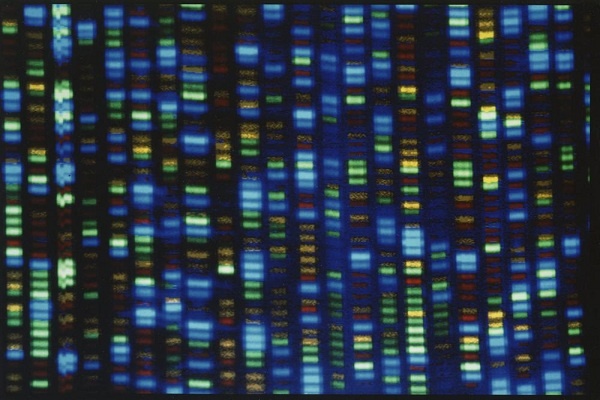 Para Ilmuwan Selesai Mengurutkan Lengkap Genom Manusia