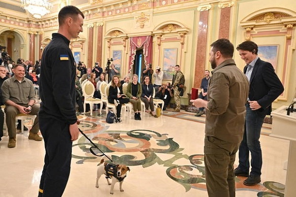 Patron, Anjing Pelacak Bom, Pahlawan Ukraina