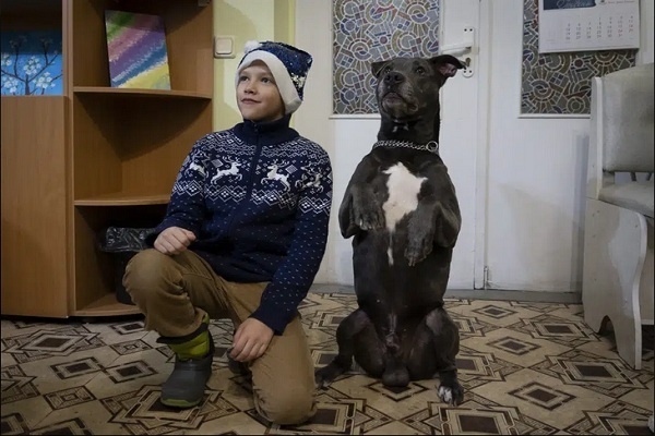 Ukraina Gunakan Anjing untuk Atasi Trauma Anak-anak Akibat Perang