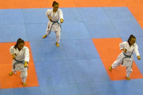 Marciano Norman Persiapkan Atlet Taekwondo ke Kejuaraan Internasional