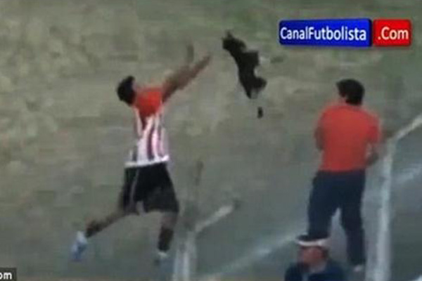 Pemain Bola Melempar Anjing, Mendapat Kartu Merah