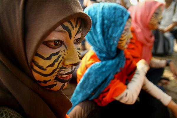 Peringatan Global Tiger Day, Kampanye Hentikan Perdagangan Harimau Sumatera