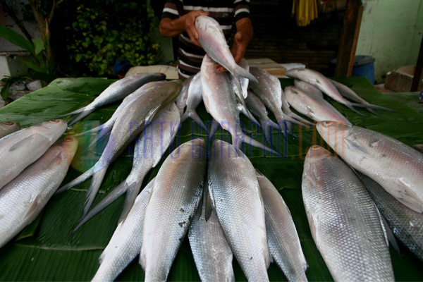 Pedagang Ikan Bandeng Ramai Sambut Imlek