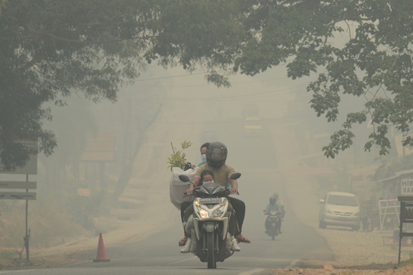 Kabut Asap di Sumatera Akibatkan Jarak Pandang Terganggu