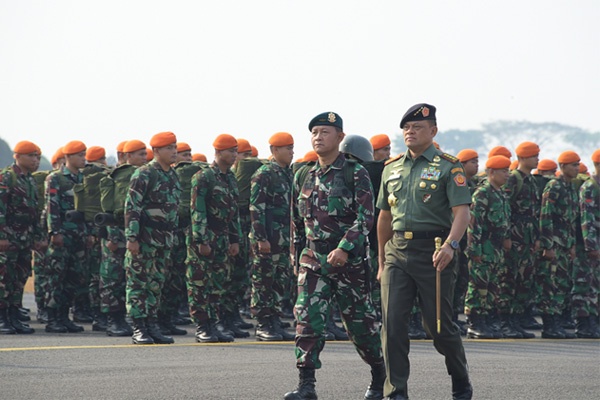 TNI Ditargetkan 14 Hari Padamkan Kebakaran Hutan di Sumsel
