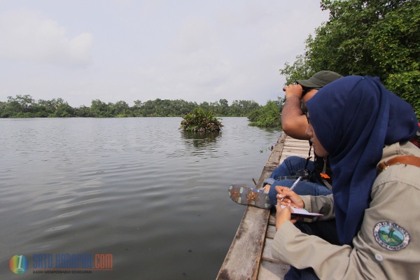 Kelompok Mahasiswa Sensus Burung Air di Jakarta