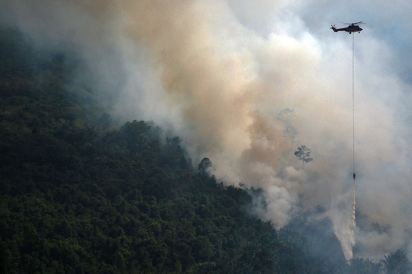 BMKG: Tidak Terekam Adanya Titik Api di Riau