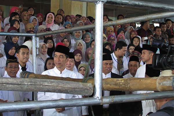 Jokowi Sematkan Jaket ke Pengawas Hewan Kurban