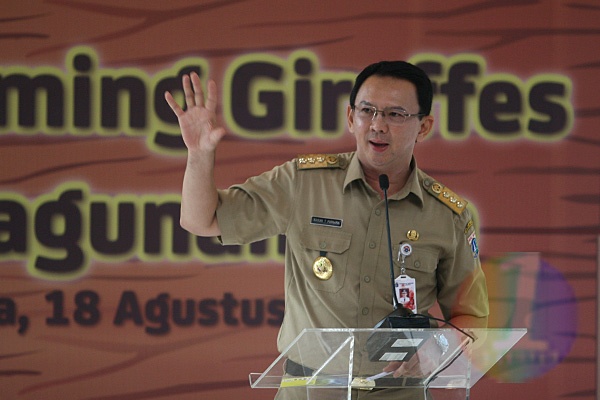 Gubernur DKI Jakarta Beri Nama Jerapah asal Australia