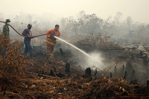 Kabut Asap di Sumatera Akibatkan Jarak Pandang Terganggu