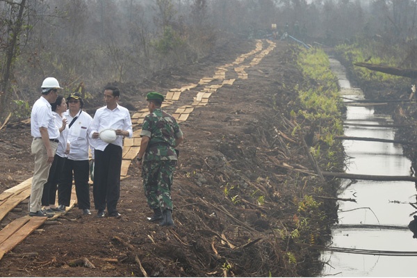 Kebakaran Hutan dan Lahan di Kalimantan Tengah