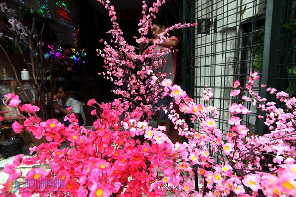 Pohon Hias Bunga Sakura Mulai Ramai Dipesan Jelang Imlek