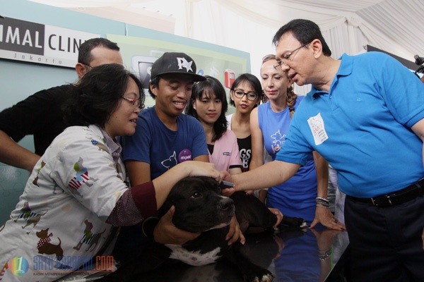 Gubernur Basuki Canangkan Microchip pada Anjing untuk Jakarta Smart City