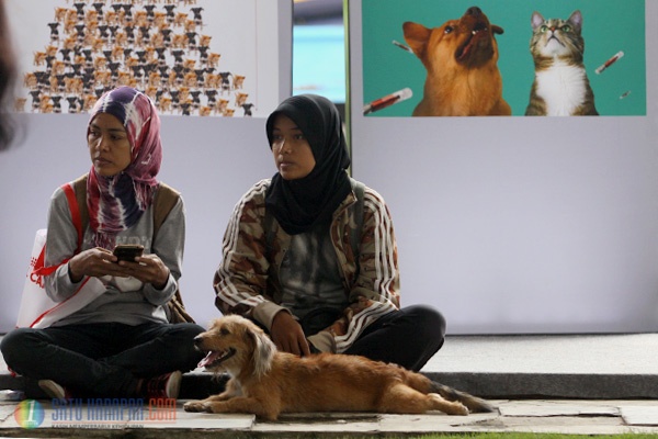 Gubernur Basuki Canangkan Microchip pada Anjing untuk Jakarta Smart City