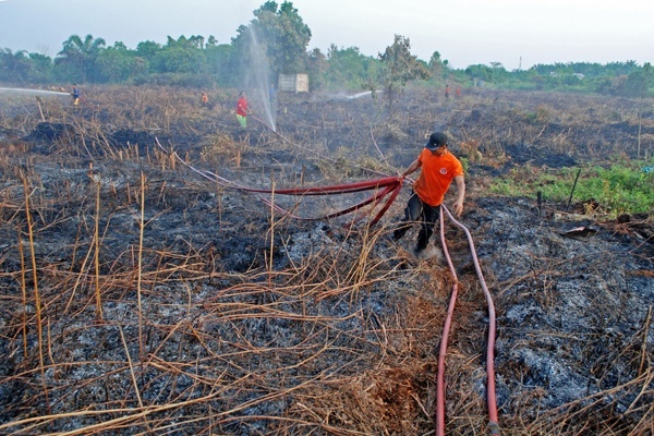 BMKG: Tidak Terekam Adanya Titik Api di Riau