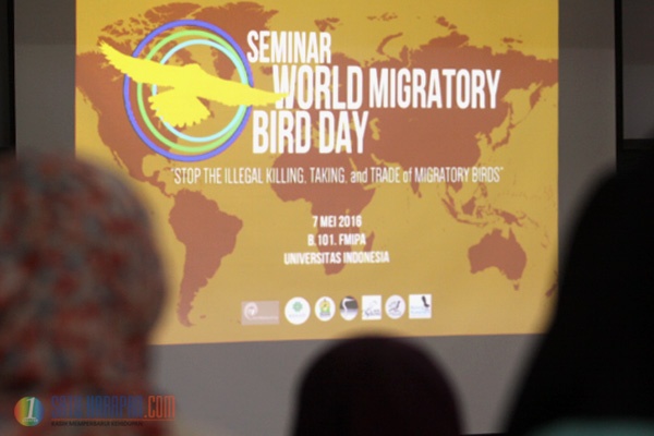 Seminar Hari Burung Migrasi Sedunia Digelar di UI